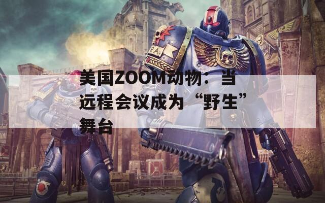 美国ZOOM动物：当远程会议成为“野生”舞台