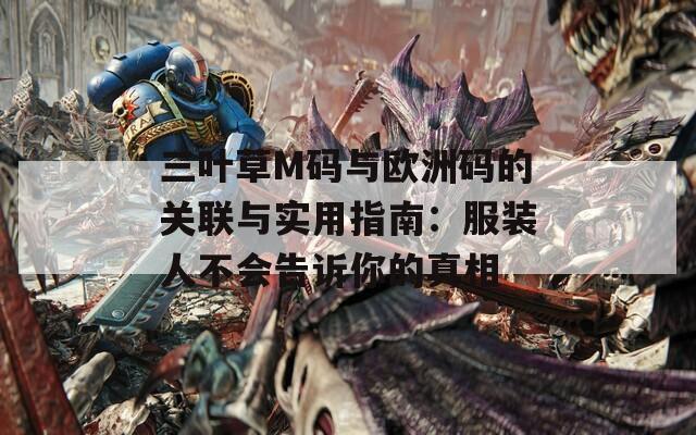 三叶草M码与欧洲码的关联与实用指南：服装人不会告诉你的真相