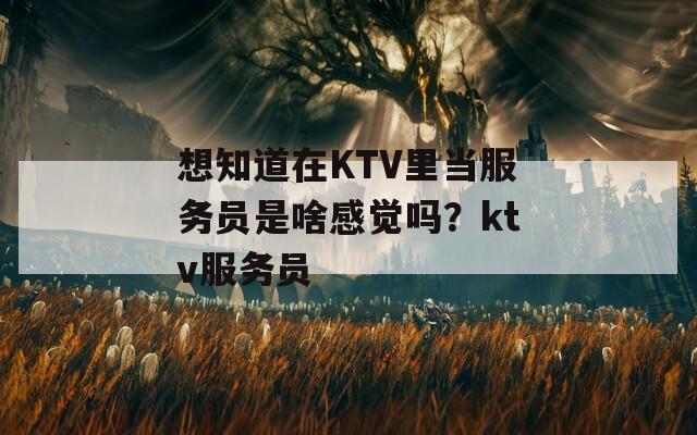 想知道在KTV里当服务员是啥感觉吗？ktv服务员