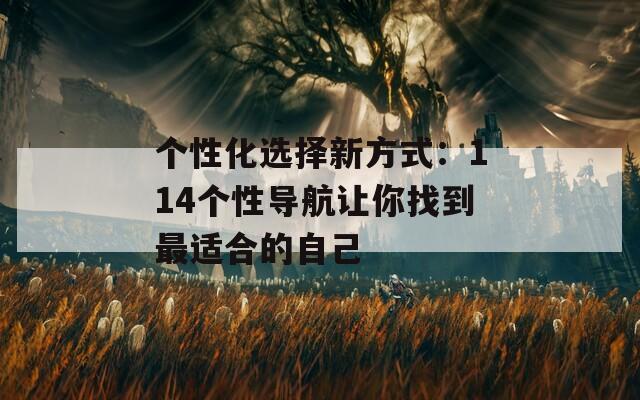 个性化选择新方式：114个性导航让你找到最适合的自己