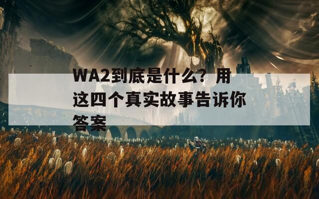 WA2到底是什么？用这四个真实故事告诉你答案