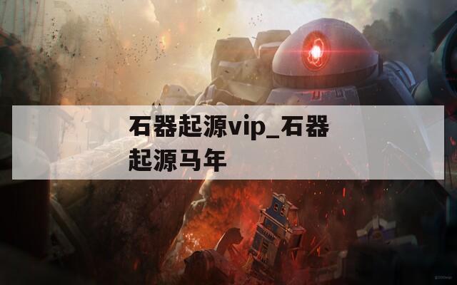 石器起源vip_石器起源马年