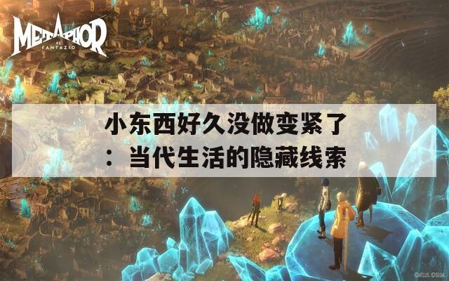 小东西好久没做变紧了：当代生活的隐藏线索