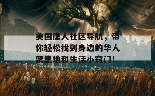 美国唐人社区导航，带你轻松找到身边的华人聚集地和生活小窍门！