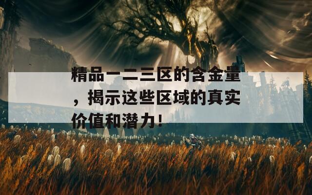 精品一二三区的含金量，揭示这些区域的真实价值和潜力！