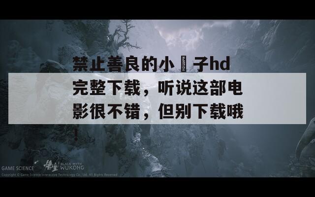 禁止善良的小峓子hd完整下载，听说这部电影很不错，但别下载哦！