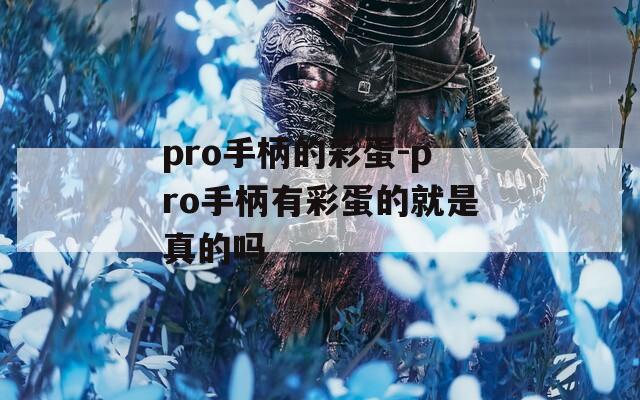 pro手柄的彩蛋-pro手柄有彩蛋的就是真的吗