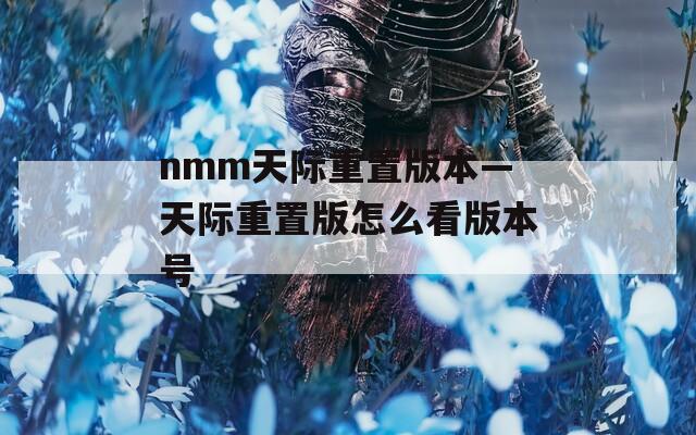 nmm天际重置版本—天际重置版怎么看版本号