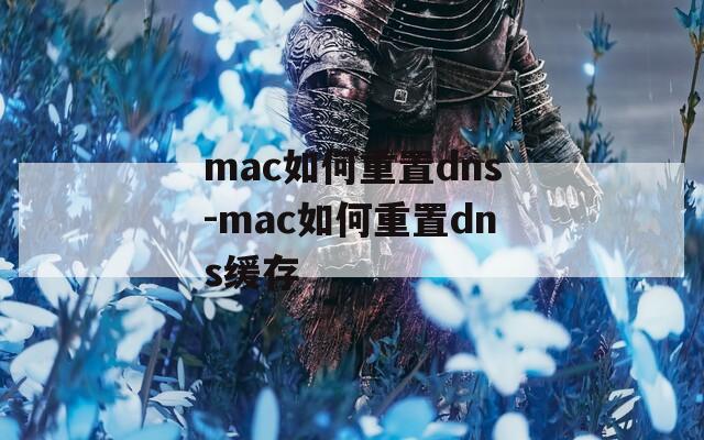 mac如何重置dns-mac如何重置dns缓存