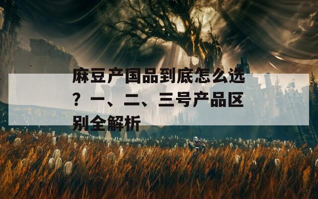 麻豆产国品到底怎么选？一、二、三号产品区别全解析