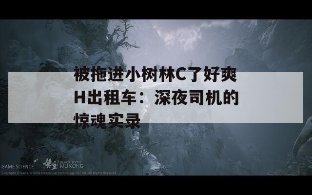 被拖进小树林C了好爽H出租车：深夜司机的惊魂实录