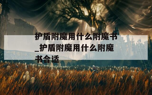 护盾附魔用什么附魔书_护盾附魔用什么附魔书合适